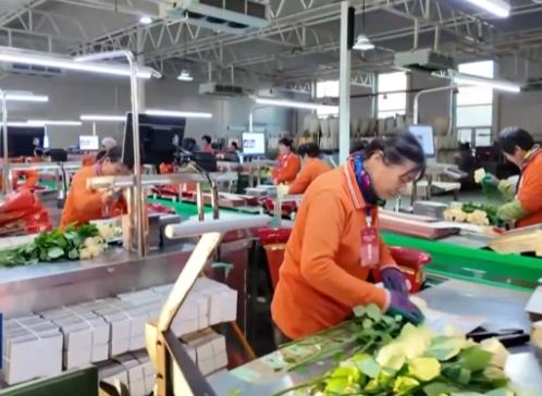 2025年我國鄉(xiāng)村產(chǎn)業(yè)高質(zhì)量發(fā)展取得積極成效