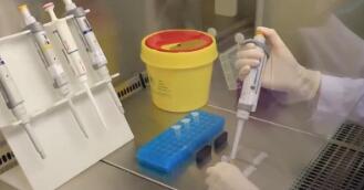 2025年我國累計發(fā)布226項食品農(nóng)產(chǎn)品安全領(lǐng)域國家標(biāo)準(zhǔn)物質(zhì)