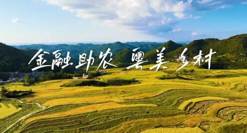 從“保險(xiǎn)+期貨”看金融助農(nóng)的溫度與力量