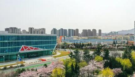 山東青島自貿(mào)片區(qū)發(fā)布“創(chuàng)業(yè)啟航”九條措施