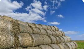 我國將精準(zhǔn)發(fā)力促農(nóng)業(yè)固體廢棄物“變廢為寶”