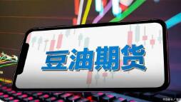 大商所豆油期貨上市20年 產(chǎn)業(yè)參與度持續(xù)提升