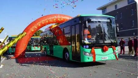 215臺安凱客車發(fā)往墨西哥 賦能當(dāng)?shù)亟煌òl(fā)展