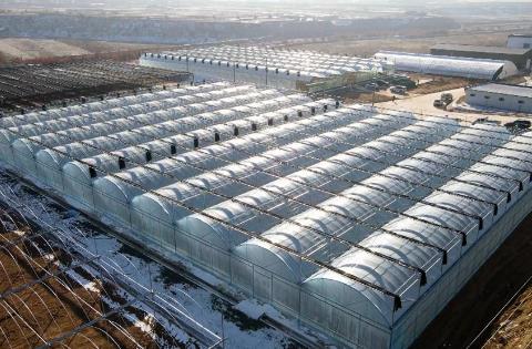 中國借助科技創(chuàng)新賦能農(nóng)業(yè)發(fā)展