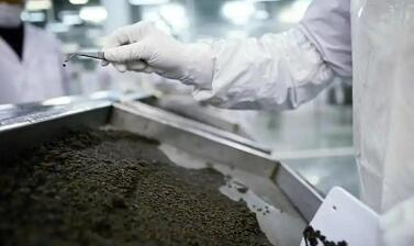 國產(chǎn)化 平民價  高端食材背后的中國產(chǎn)業(yè)突圍