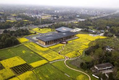 2025年四川農村社會事業(yè)成效顯著 27個典型案例發(fā)布推廣