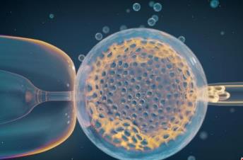 國際最新研究：常見遺傳變異引發(fā)風(fēng)險或是導(dǎo)致流產(chǎn)主因