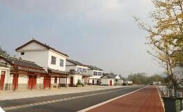 特色產(chǎn)業(yè)多點開花，鄉(xiāng)村振興活力滿格