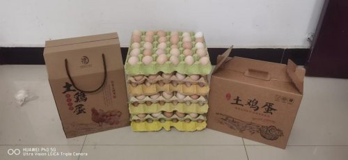 土雞養(yǎng)出致富路——蘄春煙草駐村幫扶朗山村產(chǎn)業(yè)發(fā)展紀(jì)實(shí)