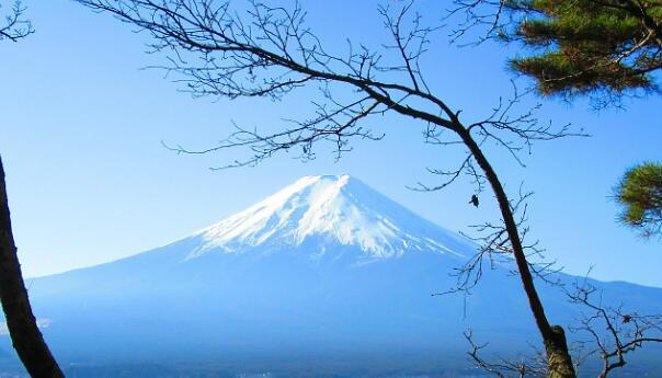 日本觀光立國(guó)戰(zhàn)略受挫