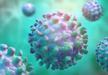 國家疾控局：我國尚未發(fā)現(xiàn)尼帕病毒病病例 疫情對(duì)我國產(chǎn)生的影響相對(duì)較小