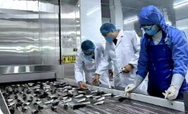 去年出口水產(chǎn)品近三十萬噸 “泉州味”水產(chǎn)品“出?！币?guī)模創(chuàng)新高