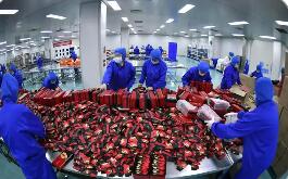 寧夏助力民營經(jīng)濟(jì)高質(zhì)量發(fā)展再上新臺階