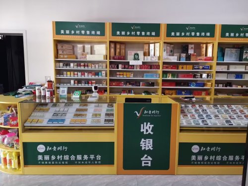 賦能終端，溫暖同行，共繪基層新圖景