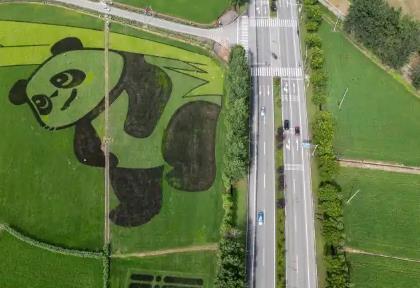 四川打造新時(shí)代更高水平“天府糧倉” 糧食產(chǎn)量達(dá)到732.5億斤