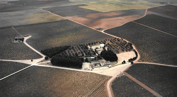 洛薩諾無醇、脫醇葡萄酒，憑什么成為年輕一代的“新酒桌共識”？