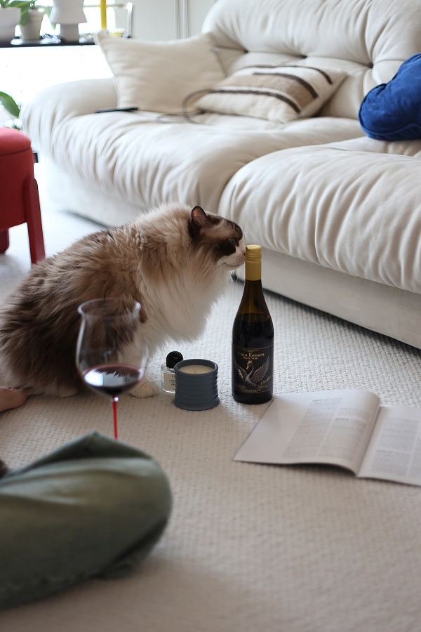 1770111535761726.jpg 1770111535761726.jpg