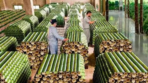 五千二百億“大蛋糕” “以竹代塑”助推竹產(chǎn)業(yè)“節(jié)節(jié)高”