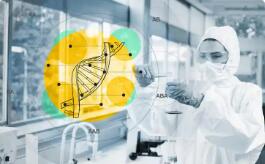 政策紅利持續(xù)釋放 AI制藥發(fā)展提速