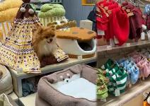 寵物戶外用品行業(yè)亟待跨越“舒適區(qū)”