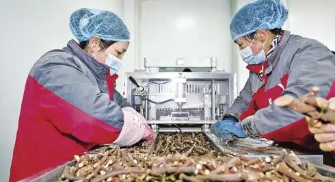 《中藥工業(yè)高質(zhì)量發(fā)展實施方案(2026—2030年)》解讀