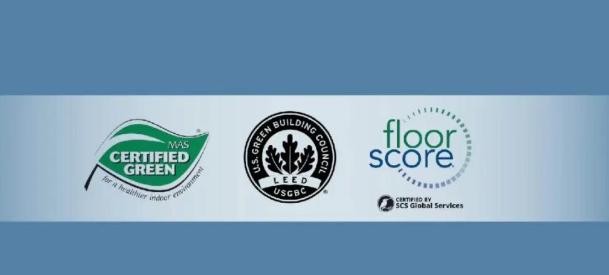 1770347679833026.jpg 1770347679833026.jpg