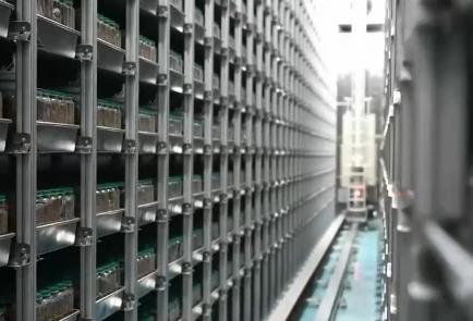 讓“中國糧”主要用“中國種” 我國完成種業(yè)振興“五年見成效”目標(biāo)