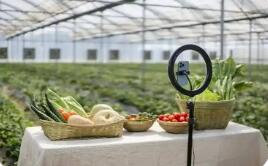 2025年農(nóng)村網(wǎng)絡(luò)零售額首次突破3萬億元