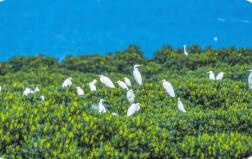 《中華人民共和國自然保護區(qū)條例》修訂通過 2026年3月15日起施行