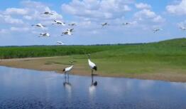 新修訂條例如何高質(zhì)量推進(jìn)自然保護(hù)區(qū)建設(shè)？