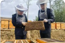 滴滴匠心蜜 揚(yáng)帆出海香——2025年湖北蜂蜜出口再創(chuàng)佳績(jī)