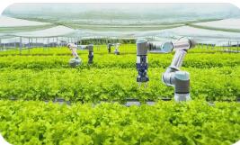 中央一號文件首提“人工智能+農(nóng)業(yè)”