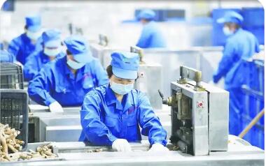 安徽亳州成為皖北振興“增長(zhǎng)極”