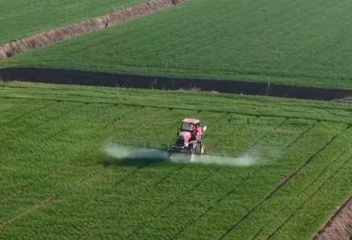 “良技+良法+良機(jī)”護(hù)航冬小麥田間管理 各主產(chǎn)區(qū)奮戰(zhàn)夯實(shí)夏糧豐產(chǎn)根基