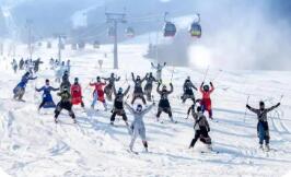 兩部門聯合開展