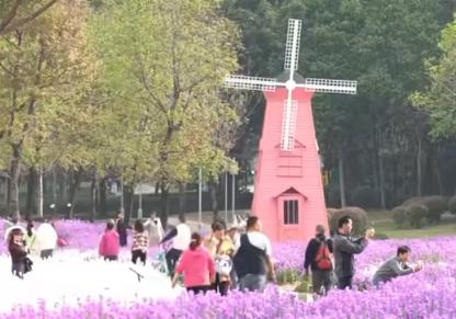 公園“玩”出“花樣”新年味 科技、運動、生態(tài)為游客解鎖多元游園新體驗