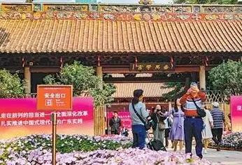 多樣出游 年味出新