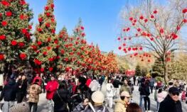 2026年春節(jié)假日游客達(dá)5.96億人次