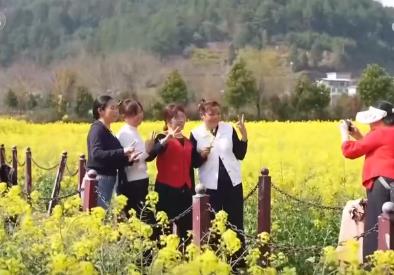 走“花路”、繪新景 農(nóng)文旅融合讓鄉(xiāng)村“冬閑田”變“增收田”