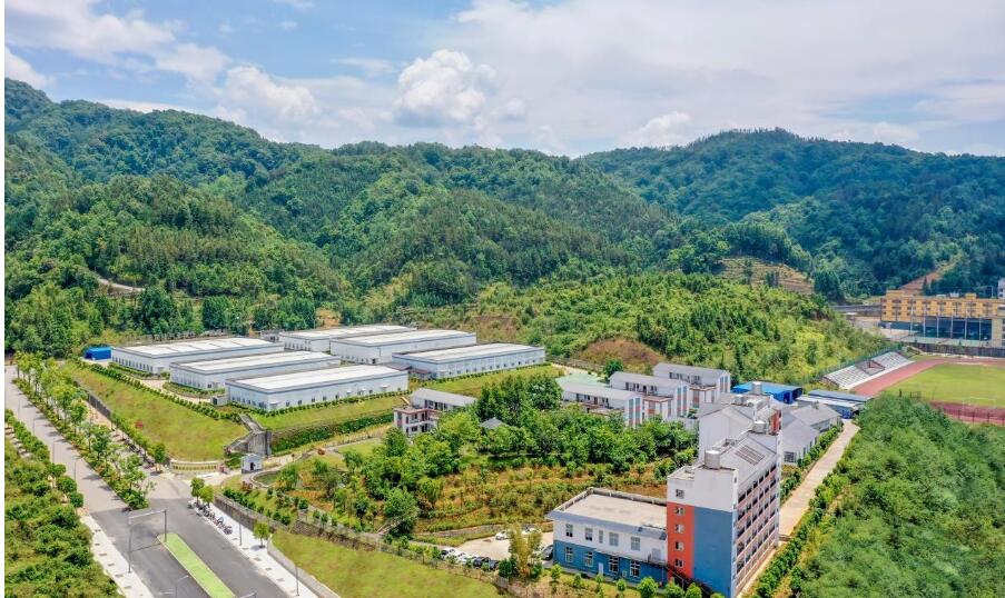 20260226135451432.jpg 20260226135451432.jpg