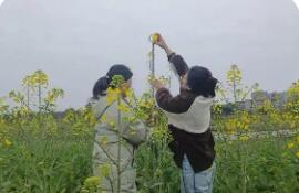 全國(guó)春耕春播氣象服務(wù)全面啟動(dòng)