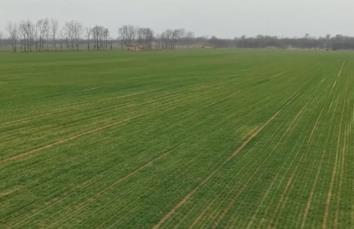 打通農(nóng)資供應(yīng)“最后一公里” 高效服務(wù)鏈托穩(wěn)春耕生產(chǎn)“第一棒”