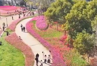 去踏青、共賞花，春意正濃！““春日經(jīng)濟(jì)”蓬勃綻放