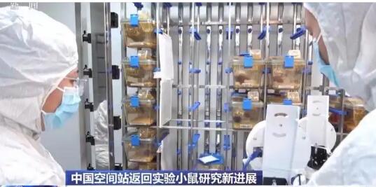 首次、首創(chuàng)、新突破！我國(guó)科技發(fā)展再添新成果