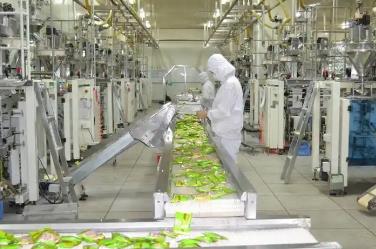 新鮮零食從“流量紅利期”邁入“供應鏈深耕期”