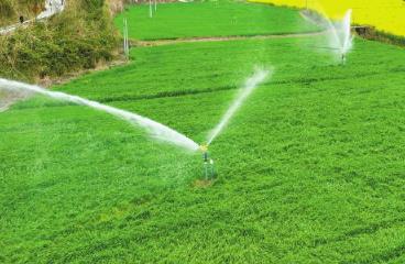 農(nóng)資到位 用水充足　四川春耕“百日攻堅(jiān)”蓄勢(shì)待發(fā)