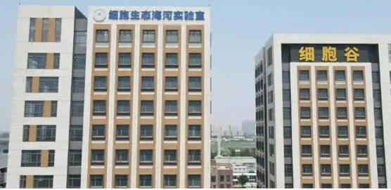 北方首個(gè)省級(jí)區(qū)域細(xì)胞制備中心落戶天津
