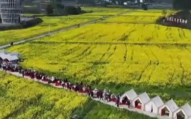 “花田+”新玩法解鎖好春光 農(nóng)文旅融合新業(yè)態(tài)打造“春日經(jīng)濟”消費新場景