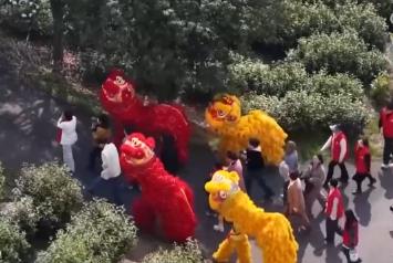 以茶為媒打造“茶旅融合”IP “時(shí)令宴+傳統(tǒng)習(xí)俗”為茶鄉(xiāng)振興添新景