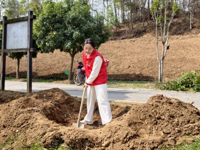 湖北羅田：播撒一抹綠，收獲四季春